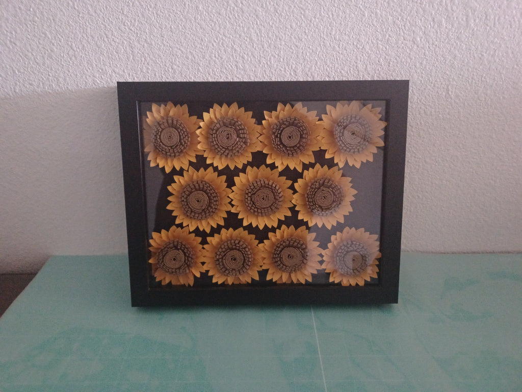 Rose Shadow Box 8x10